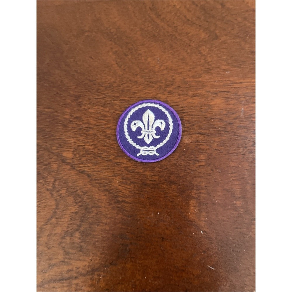 Boy Scouts of America - World Scouting Crest Patch - Cub, Webelo, Venturing BSA